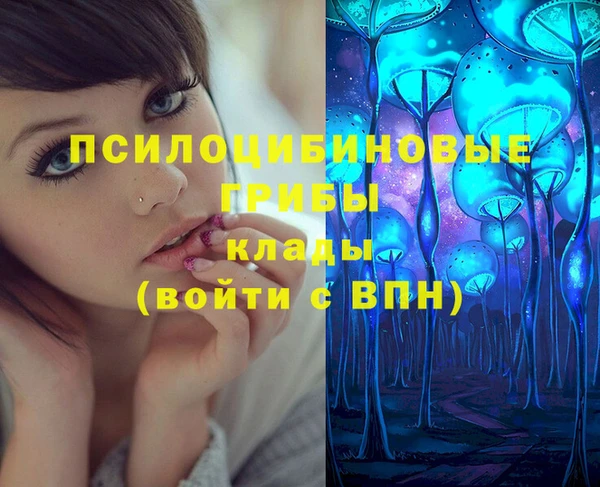 ПСИЛОЦИБИНОВЫЕ ГРИБЫ Наволоки